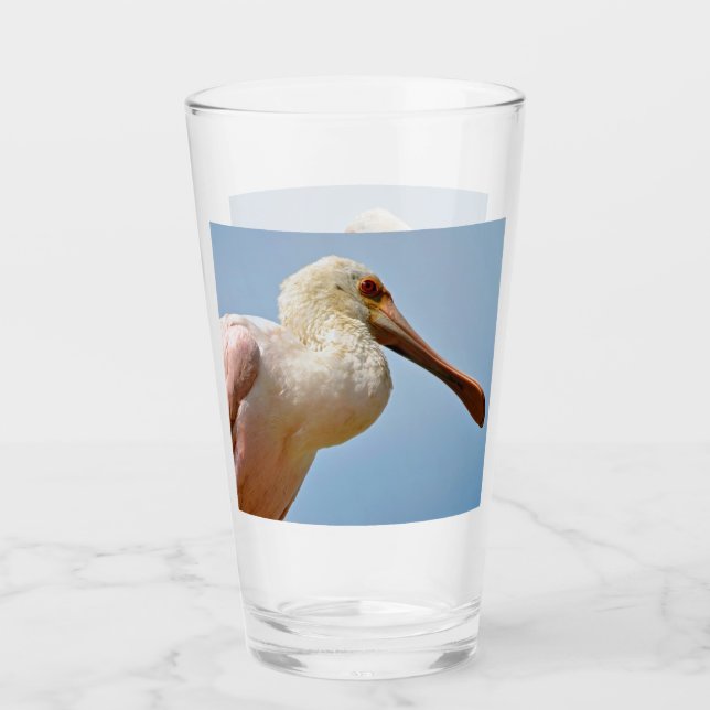 Closeup Roseate Spoonbill Glass (Front)