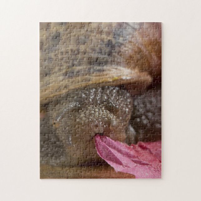 Closeup Snail Eating Paper Bizarre Puzzle (Vertical)
