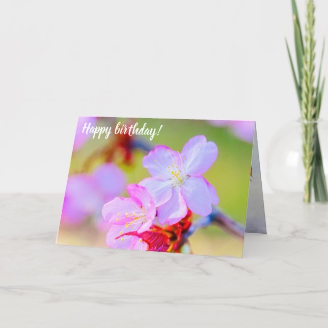 Closeup View Of Pink Sakura Cherry Blossoms Card (Front)