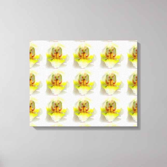 closeup yellow-white orchids canvas print (Front)