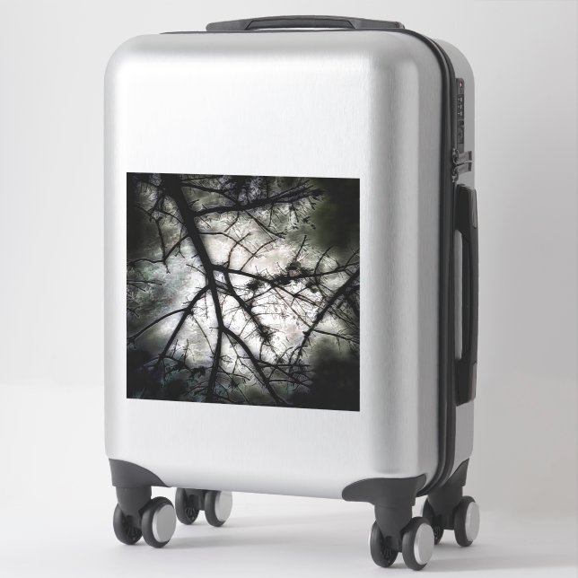 Closing In (Suitcase)