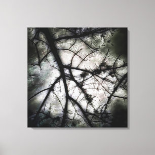 Closing In Canvas Print