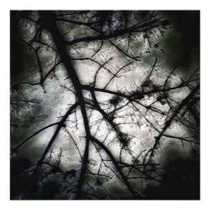 Closing In Photo Print