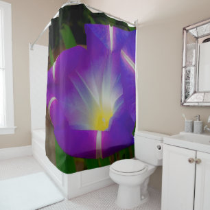 Closing Time for Morning Glories
