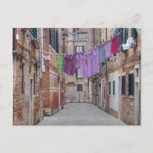 Clothesline In Venice Italy Postcard (Front)