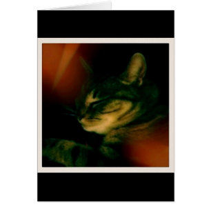 Clôture d'Indigo Naptime