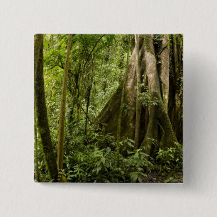 Cloud forest, Bosque de Paz, Costa Rica 2 Inch Square Button