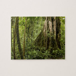 Cloud forest, Bosque de Paz, Costa Rica Jigsaw Puzzle