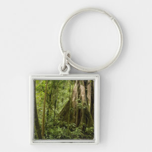 Cloud forest, Bosque de Paz, Costa Rica Keychain