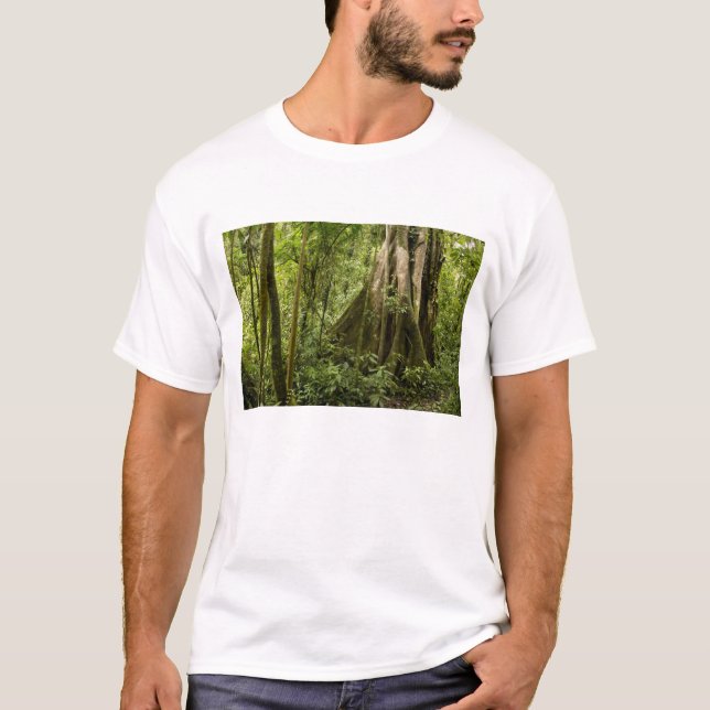 Cloud forest, Bosque de Paz, Costa Rica T-Shirt (Front)