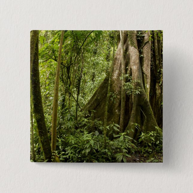 Cloud forest, Peace Rain Forest, Costa Rica 2 Inch Square Button (Front)