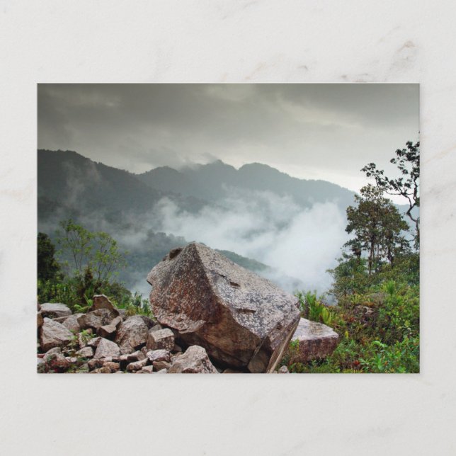 Cloud forest postcard (Front)