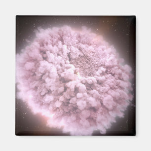 Cloud Of Debris From Two Neutron Stars Magnet