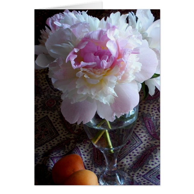 Cloud Pink Peony (Front)