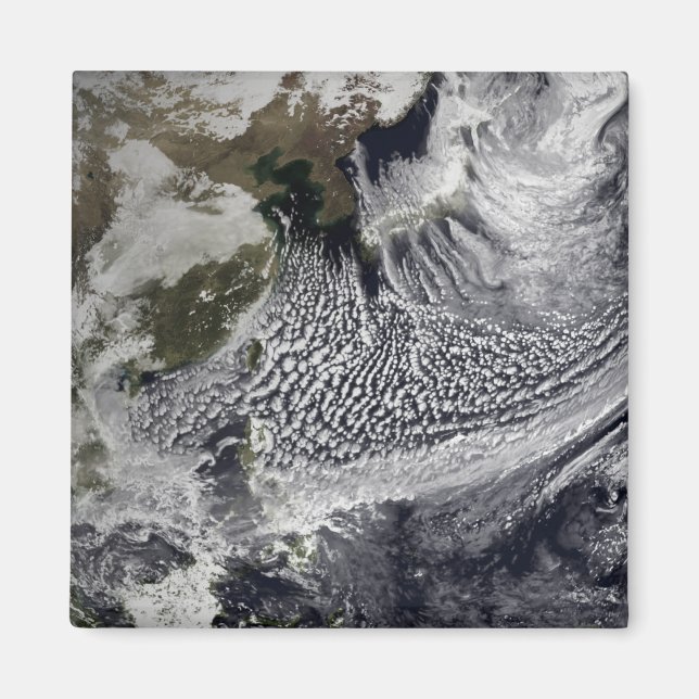 Cloud simulation of a single day 4 magnet (Front)