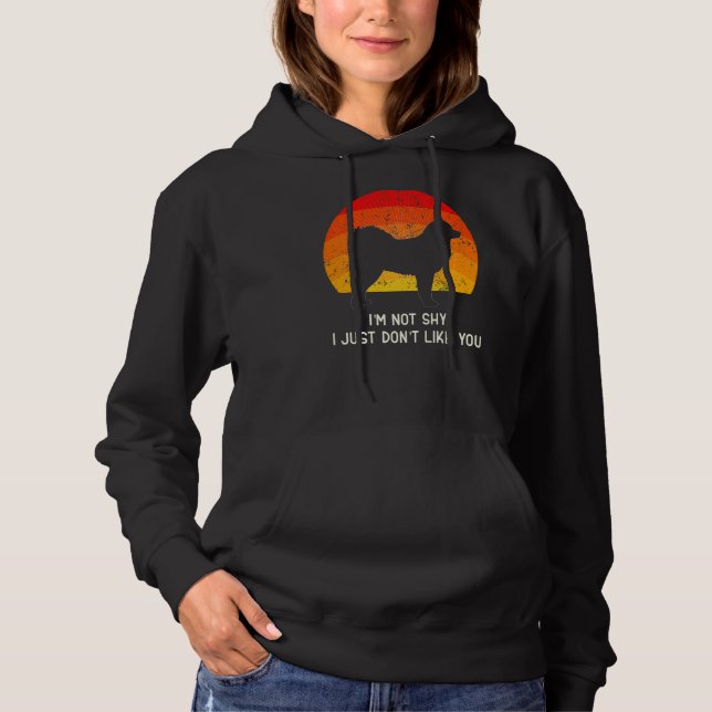 Cloud Spitz German Spitz Retro  19 Hoodie (Front)