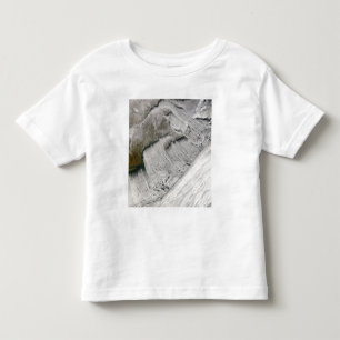 Cloud streets off New England and the Maritimes Toddler T-shirt