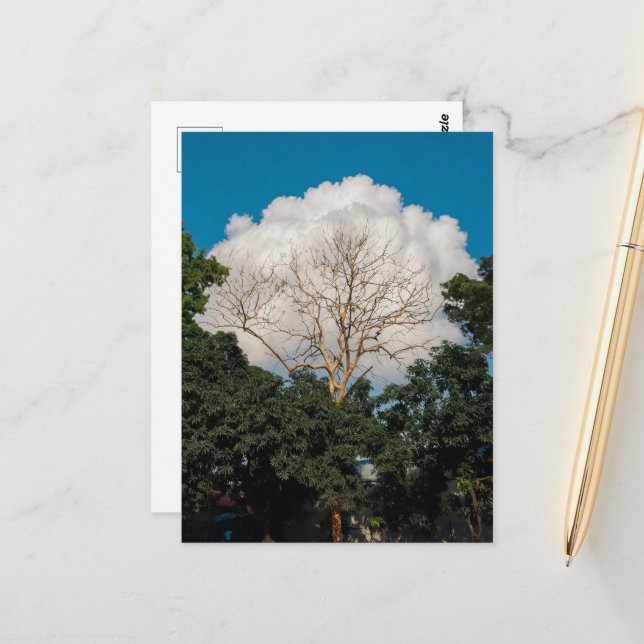 Cloud Tree Flat Card (Front/Back In Situ)