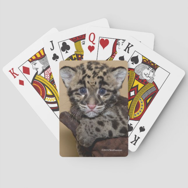Clouded Leopard Cub Playing Cards (Back)