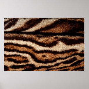 clouded leopard fur poster