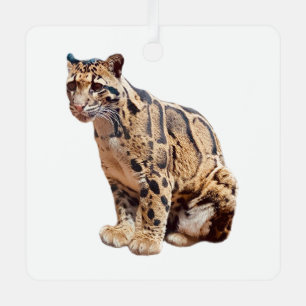 clouded leopard photograph jungle big cat animal   metal ornament