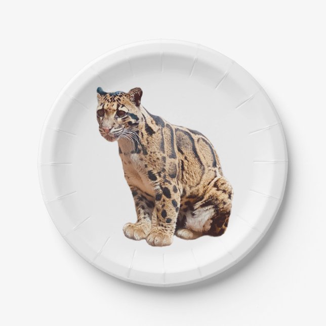 clouded leopard photograph jungle big cat animal   paper plate (Front)