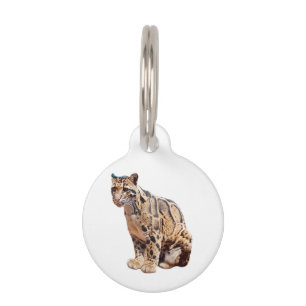 clouded leopard photograph jungle big cat animal pet tag