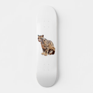 clouded leopard photograph jungle big cat animal   skateboard