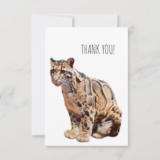 clouded leopard photograph jungle big cat animal   thank you card (Front)