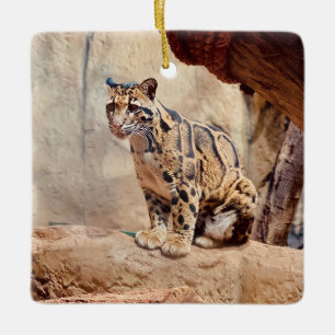 clouded leopard picture nature  ceramic ornament