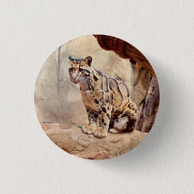 clouded leopard picture nature wildlife exotic 1 inch round button (Front)