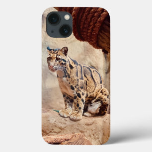 clouded leopard picture nature wildlife exotic iPhone 13 case
