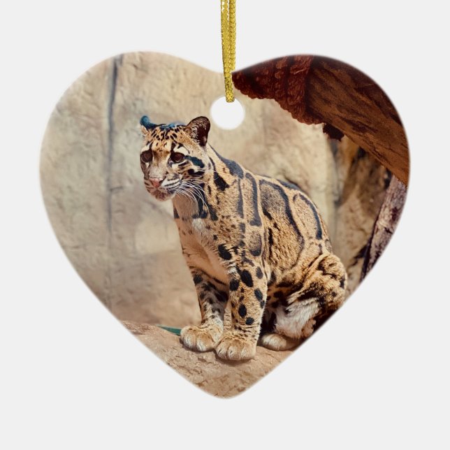 clouded leopard picture nature wildlife exotic ceramic ornament (Front)