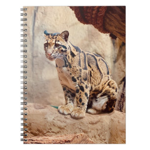 clouded leopard picture nature wildlife exotic notebook