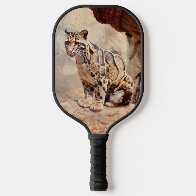 clouded leopard picture nature wildlife exotic pickleball paddle (Front)