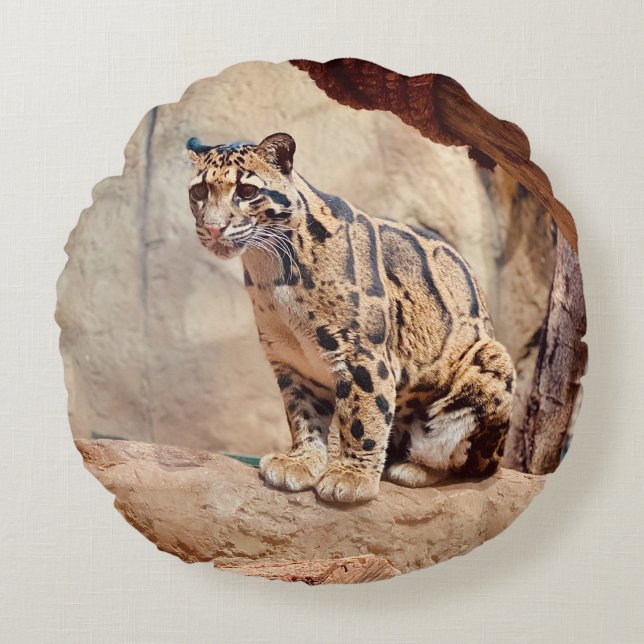 clouded leopard picture nature wildlife exotic round pillow (Front)