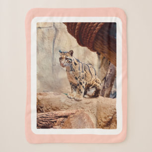 clouded leopard picture nature wildlife exotic sherpa blanket