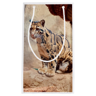 clouded leopard picture nature wildlife exotic small gift bag