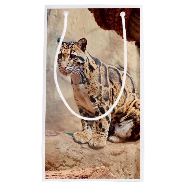 clouded leopard picture nature wildlife exotic small gift bag (Front)