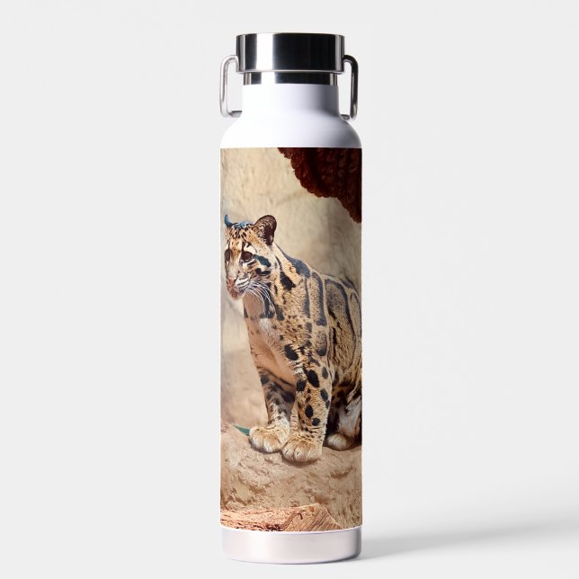 clouded leopard picture nature wildlife exotic water bottle (Front)
