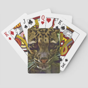 Clouded Leopard Playing Cards