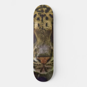 Clouded Leopard Skateboard
