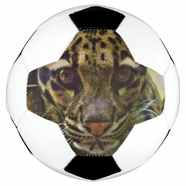 Clouded Leopard Soccer Ball (Front)
