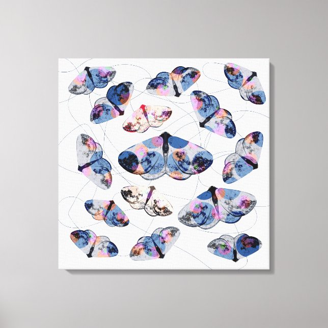 clouded silver moth - blue -  canvas print (Front)
