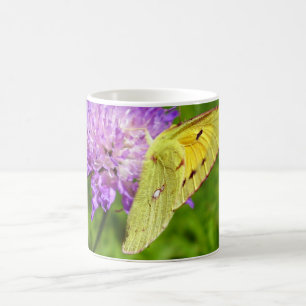 Clouded Yellow Butterfly Bug Mug