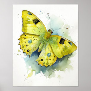 Cloudless Sulphur Butterfly Art Print Poster
