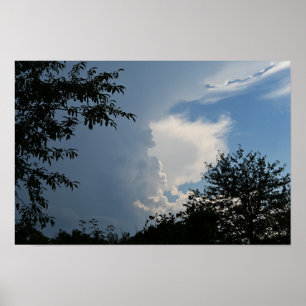 Clouds and Trees Poster