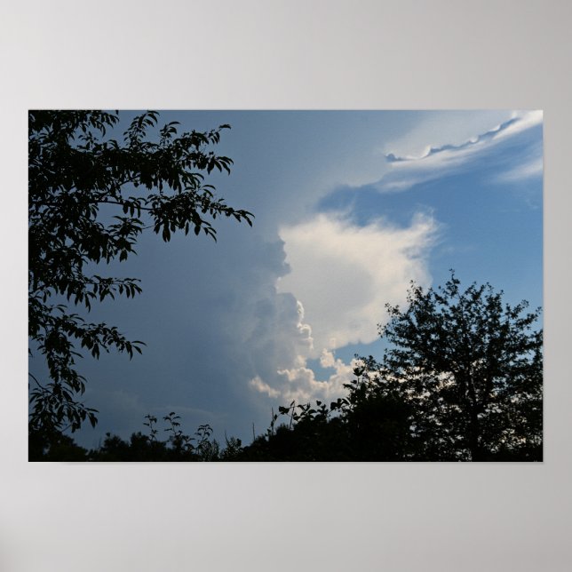 Clouds and Trees Poster (Front)