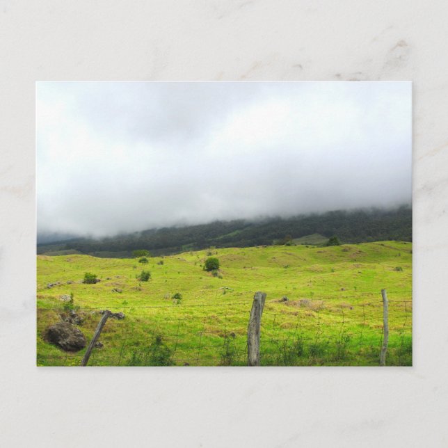 Clouds descending on pastureland Postcard (Front)