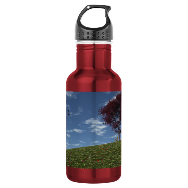 Clouds Go Sailing By 532 Ml Water Bottle (Front)